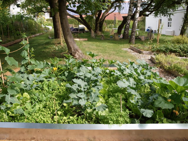 The permaculture fruit forest garden Schloss Rudolfshausen