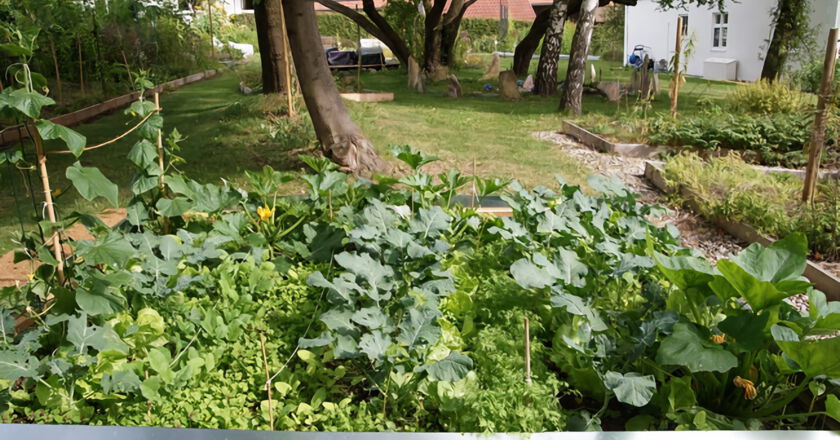 Permakultur Fruchtwaldgarten Schloss Rudolfshausen