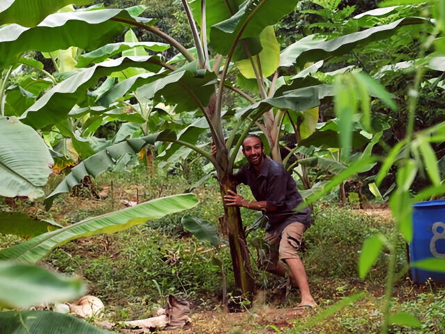 Benjamin Schreyer in the "Fruit Forest Garden" in Sri Lanka
