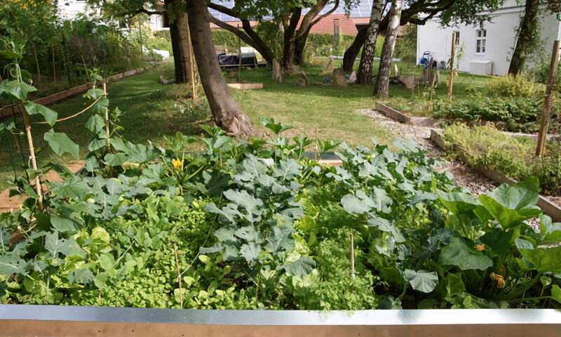 Permakultur Fruchtwaldgarten Schloss Rudolfshausen